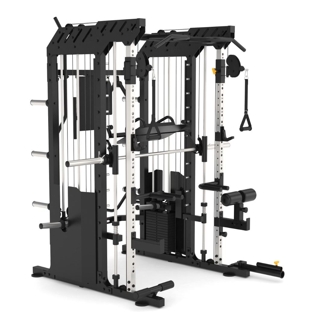 Multigym B1 Double Poulie 240 kg x 2, Multipower, Dips, Presse à jambes, Aviron, Squats et Accessoires