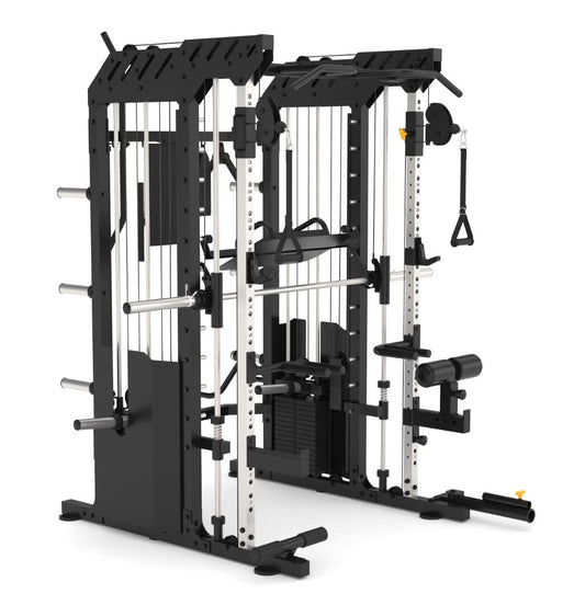 Multigym B1 Double Poulie 240 kg x 2, Multipower, Dips, Presse à jambes, Aviron, Squats et Accessoires