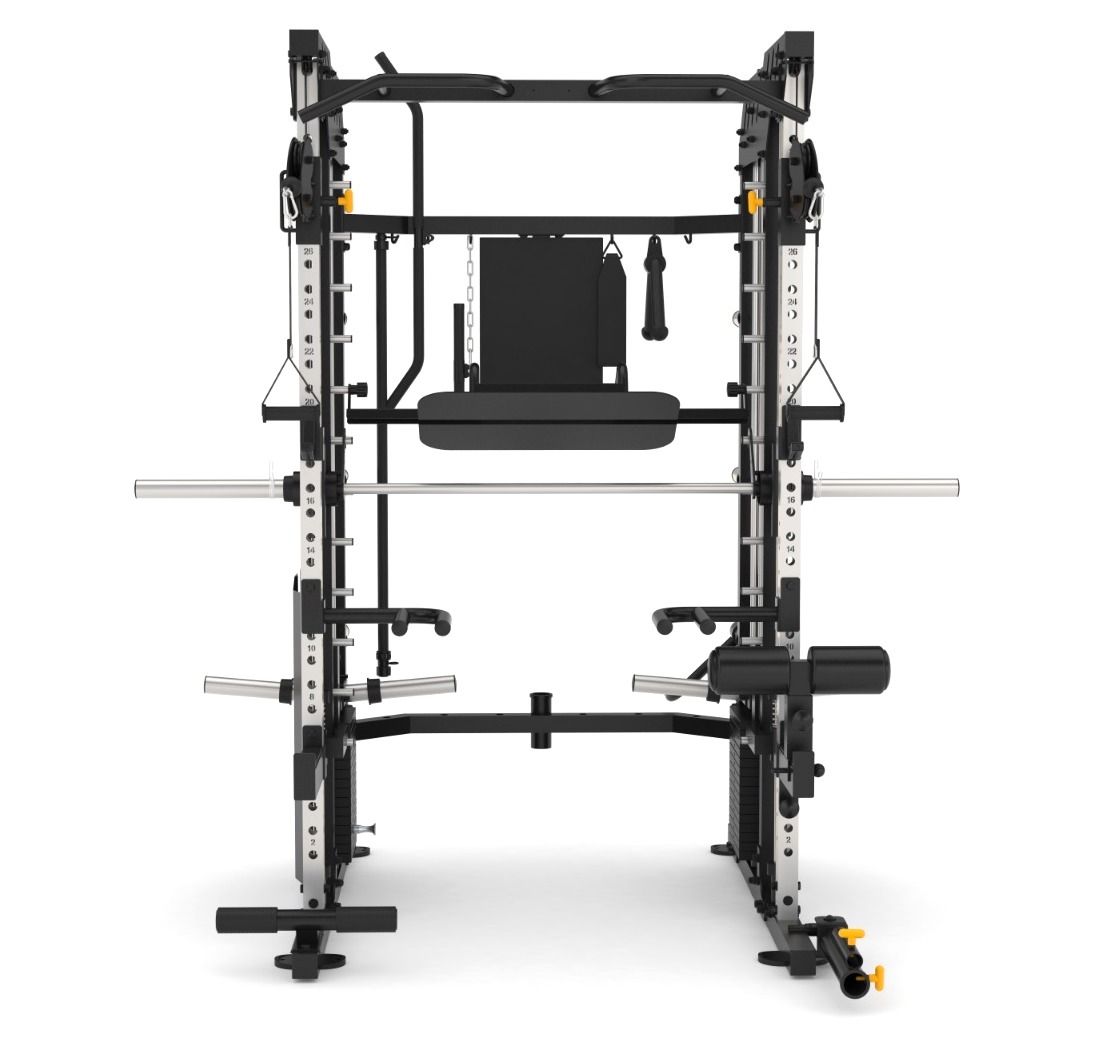 Multigym B1 Double Poulie 240 kg x 2, Multipower, Dips, Presse à jambes, Aviron, Squats et Accessoires