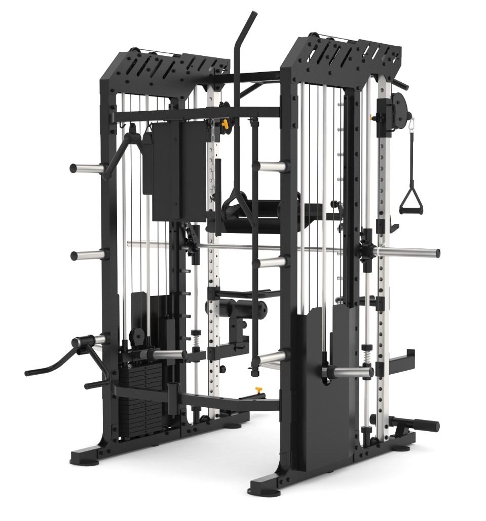 Multigym B1 Double Poulie 240 kg x 2, Multipower, Dips, Presse à jambes, Aviron, Squats et Accessoires