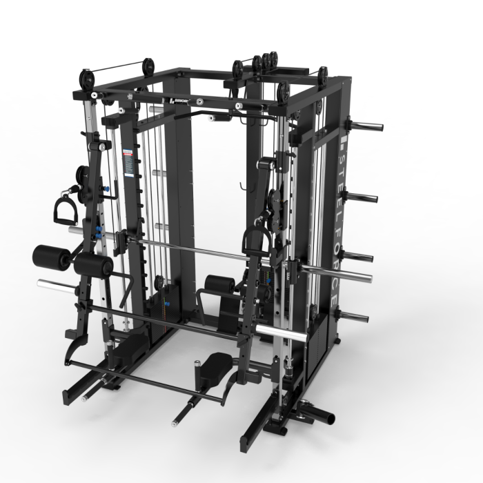 Multigym B22 avec Double Poulie (100Kg x 2) avec Extension Poulie Haute et Basse (100kg), Multipower, Presse jambes, Power rack, Bras mobiles, Arrières plans, Abdominaux et Accessoires